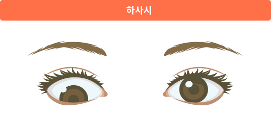 하사시